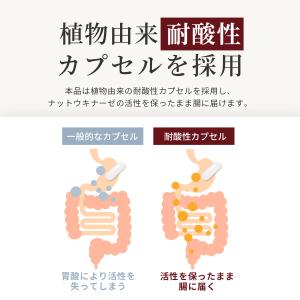 ナットウキナーゼ 12000FU/日(1日1粒...の詳細画像5