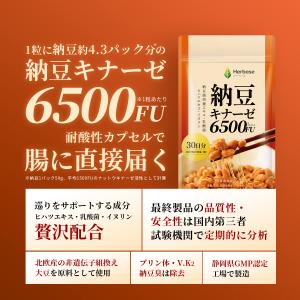 ナットウキナーゼ 6500FU/日 (30日分...の詳細画像1