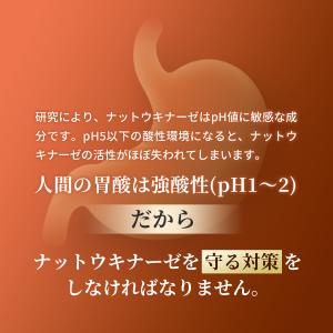 ナットウキナーゼ 6500FU/日 (30日分...の詳細画像3