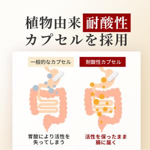 ナットウキナーゼ 6500FU/日 (30日分...の詳細画像4