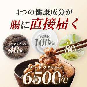 ナットウキナーゼ 6500FU/日 (30日分...の詳細画像5