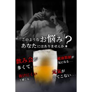 ミルクシスル サプリ (60日分) ミルクシス...の詳細画像1
