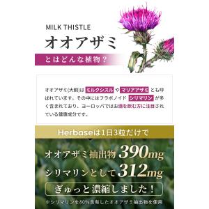 ミルクシスル サプリ (60日分) ミルクシス...の詳細画像3