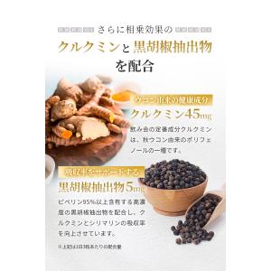 ミルクシスル サプリ (60日分) ミルクシス...の詳細画像4