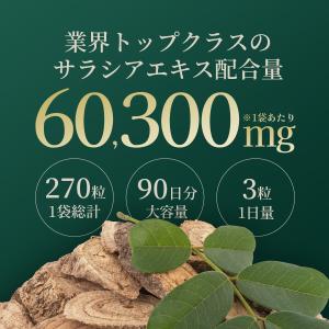 サラシア サプリ 60300mg高濃度 90日...の詳細画像2