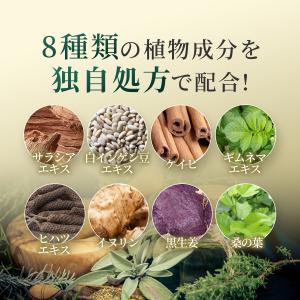 サラシア サプリ 60300mg高濃度 90日...の詳細画像4