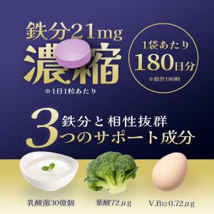 鉄分 サプリ (180日分/鉄1日21mg) ...の詳細画像2