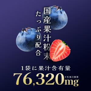 鉄分 サプリ (180日分/鉄1日21mg) ...の詳細画像3
