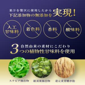 鉄分 サプリ (180日分/鉄1日21mg) ...の詳細画像4
