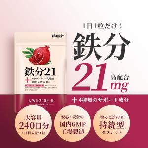鉄分 21mg (240日分) 鉄サプリ 葉酸...の詳細画像1