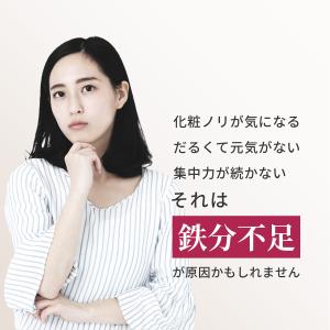 鉄分 21mg (240日分) 鉄サプリ 葉酸...の詳細画像2