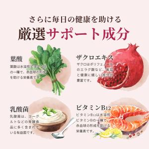 鉄分 21mg (240日分) 鉄サプリ 葉酸...の詳細画像3