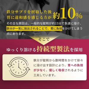鉄分 21mg (240日分) 鉄サプリ 葉酸...の詳細画像4