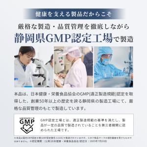 鉄分 21mg (240日分) 鉄サプリ 葉酸...の詳細画像5