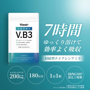 持続型 ナイアシンアミド サプリ (ナイアシン...の詳細画像1