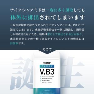 持続型 ナイアシンアミド サプリ (ナイアシン...の詳細画像2