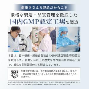 持続型 ナイアシンアミド サプリ (ナイアシン...の詳細画像5
