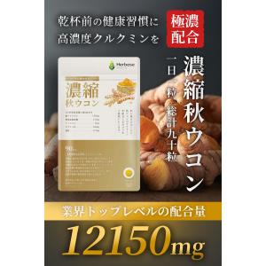 ウコン サプリ クルクミン 12150mg配合...の詳細画像1