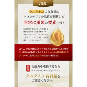 ウコン サプリ クルクミン 12150mg配合...の詳細画像2