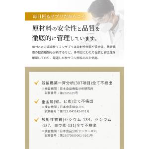 ウコン サプリ クルクミン 12150mg配合...の詳細画像4