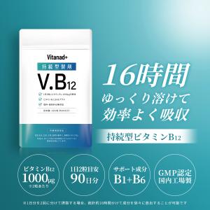 ビタミンB12 持続型 サプリ (ビタミンB1...の詳細画像1