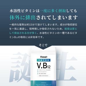 ビタミンB12 持続型 サプリ (ビタミンB1...の詳細画像2