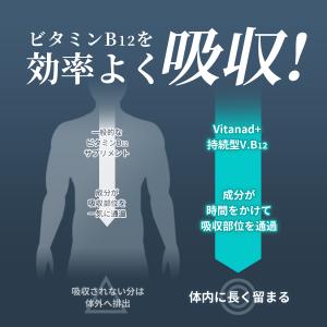 ビタミンB12 持続型 サプリ (ビタミンB1...の詳細画像4