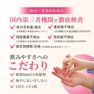 葉酸 鉄分 365日分 サプリ 妊活 妊婦 妊...の詳細画像5
