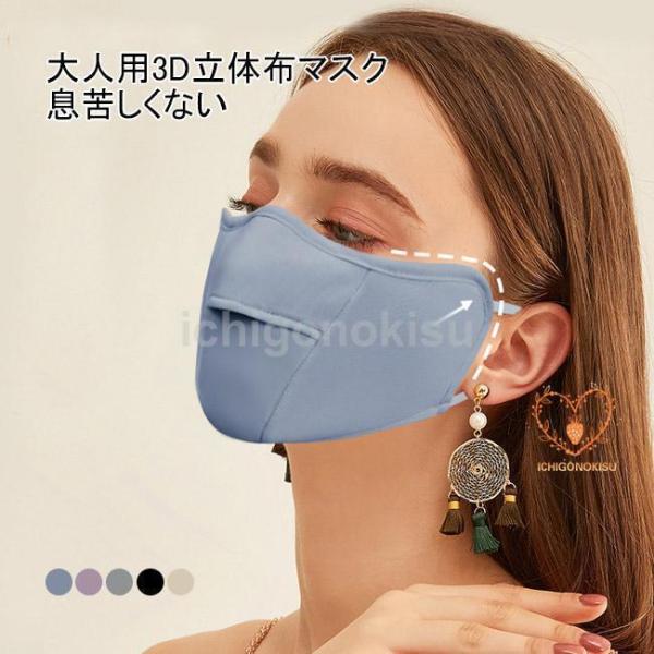 マスク 大人用 布マスク 洗える 穴付き 息苦しくない 3D立体構造 防寒 防風 保温 防塵 蒸れな...