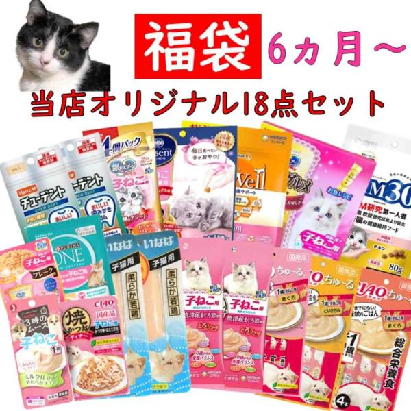 お試し 子猫 フード おやつ キャットフード AIM 30 ドライ スープ デンタルケア チュール ...