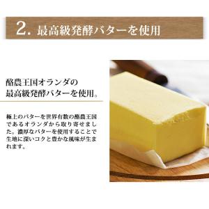 ぎゅぎゅっとリンゴのアップルパイ 5号サイズ ...の詳細画像5