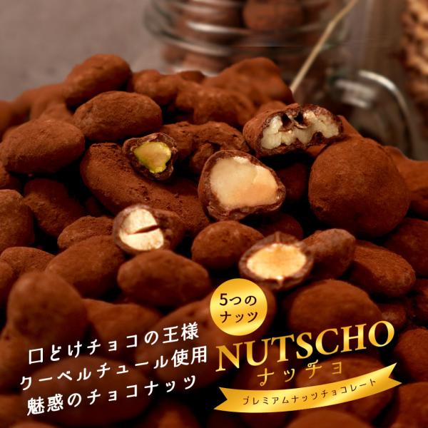 ナッツ&amp;チョコレート ナッチョ お試しサイズ クーベルチュール アーモンド カシューナッツ ピスタチ...