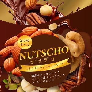 ナッツ&チョコレート ナッチョ 350...の詳細画像1