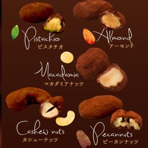 ナッツ&チョコレート ナッチョ 350...の詳細画像4