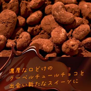 ナッツ&チョコレート ナッチョ 350...の詳細画像5
