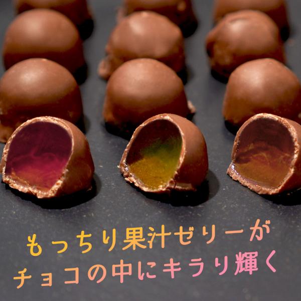 フルッチョ 4種から選べる ペクチンゼリー チョコレート 110g 1000円ポッキリ 送料無料 フ...