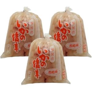 和光食品 長崎発 いかの塩辛 250g×3個