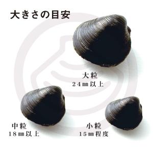 しじみ シジミ 蜆 十三湖 津軽 青森 冷凍 ...の詳細画像2