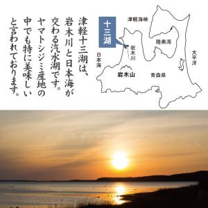 しじみ シジミ 蜆 十三湖 津軽 青森 冷凍 ...の詳細画像3