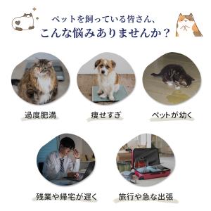 Pawsync 自動給餌器 猫 大容量 猫犬対...の詳細画像3