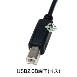 USB2.0 Bケーブル 20cm USB2....の詳細画像2