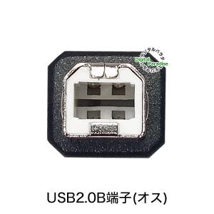 USB2.0 Bケーブル 20cm USB2....の詳細画像3