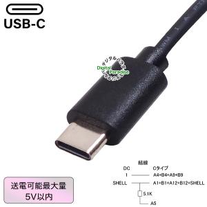 C端子→外径5.5mm内径2.1mmDC端子電...の詳細画像2