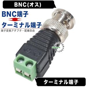 BNC⇔ターミナル端子変換 BNC(オス)→タ...の詳細画像1