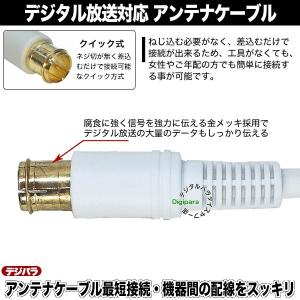 白いアンテナケーブル30cm F端子(オス)⇔...の詳細画像4