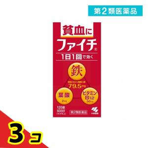 第２類医薬品ファイチ 120錠 貧血 鉄 葉酸 ビタミンB12