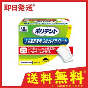 ポリデント 入れ歯安定剤ふきとりドライシート 40枚