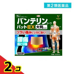 第２類医薬品バンテリンコーワパットEX 大判サイズ(10×14cm) 7枚  2個セット｜tsuhan-okusuri