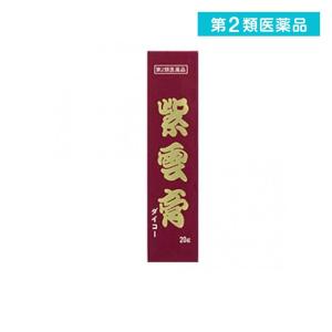 第２類医薬品紫雲膏 ダイコー 20g (小太郎漢方製薬)  (1個)｜通販できるみんなのお薬