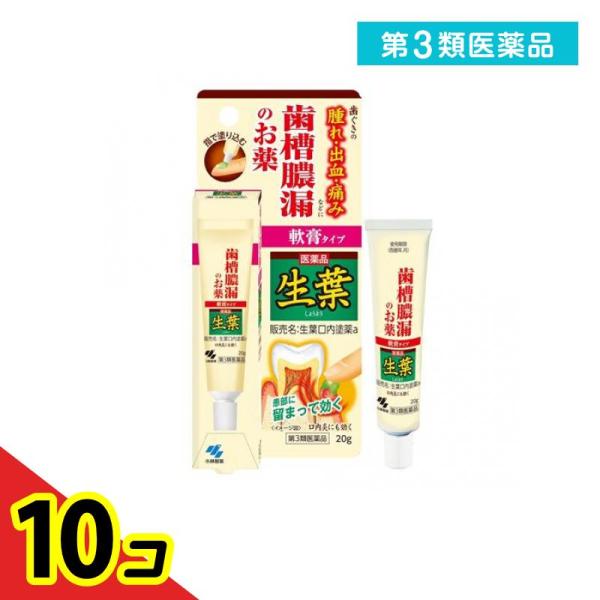 第３類医薬品 生葉口内塗薬 20g 治療軟膏 塗り薬 歯槽膿漏 歯肉炎 歯茎の腫れ 出血 痛み 口内...